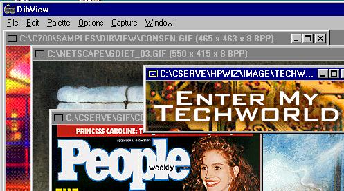 Picture of a DIBView view