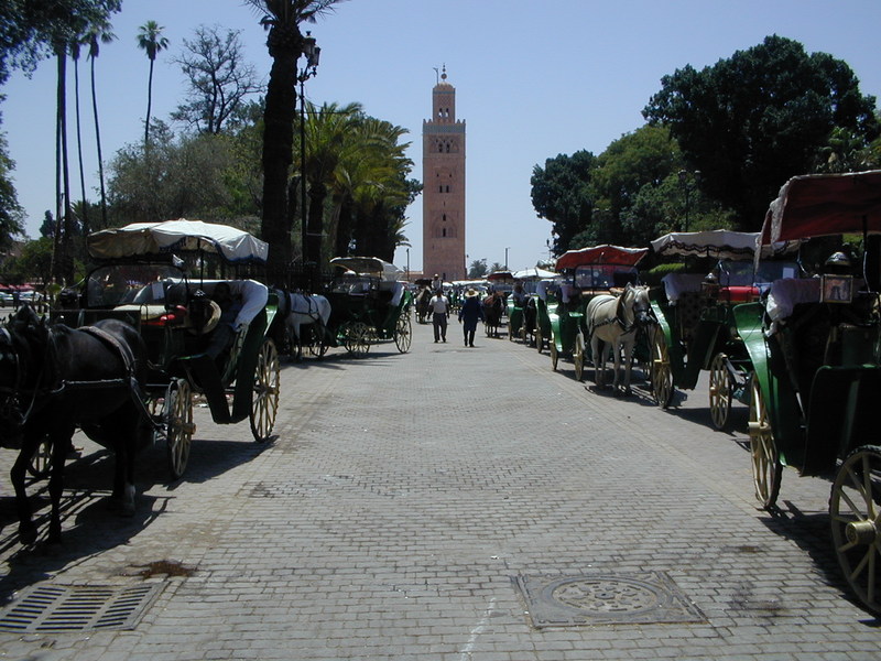 click image to load singular slide #53