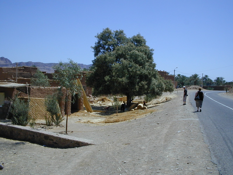 click image to load singular slide #106