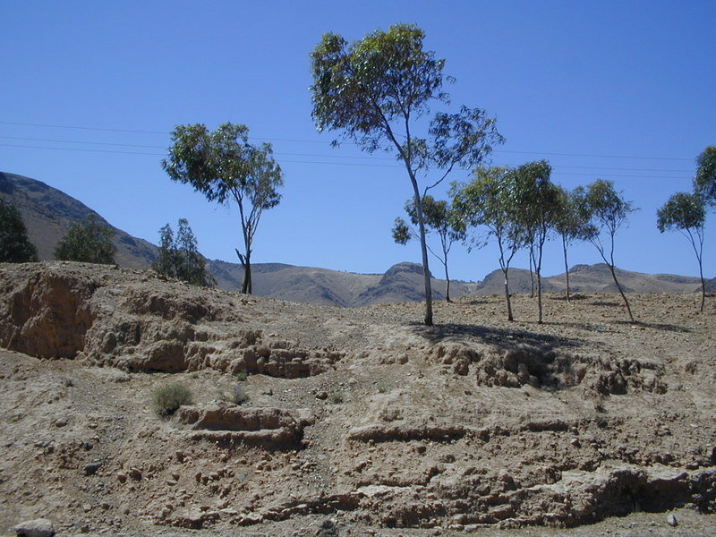 click image to load singular slide #215