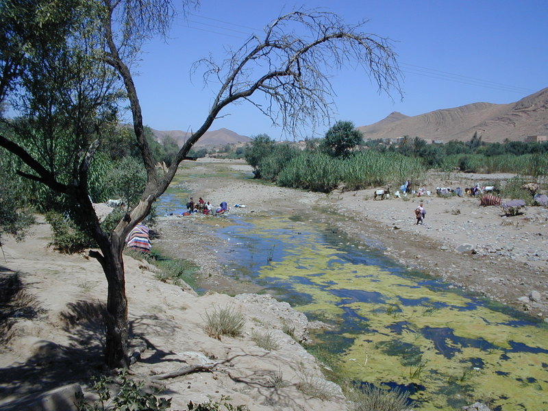 click image to load singular slide #218