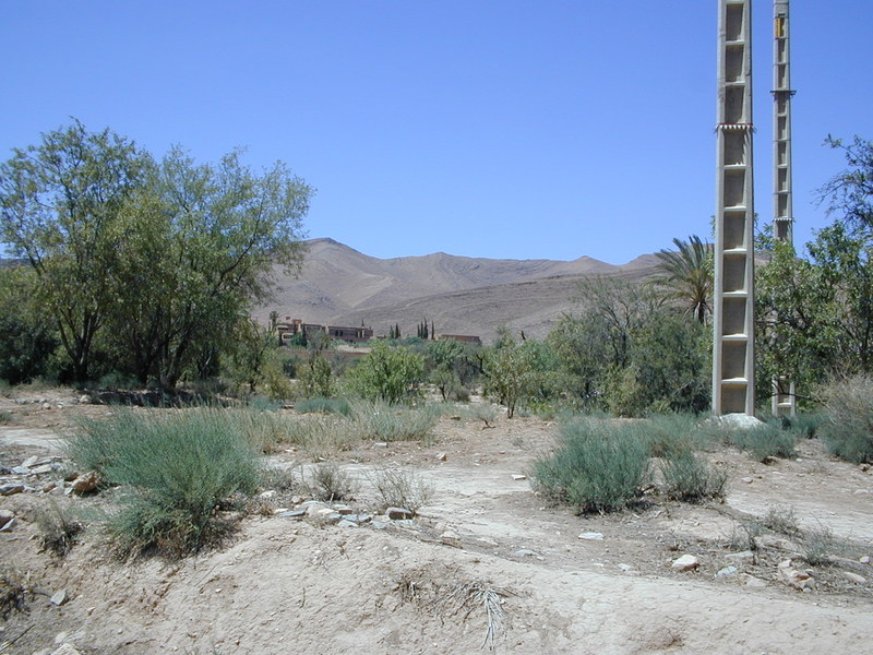 click image to load singular slide #219