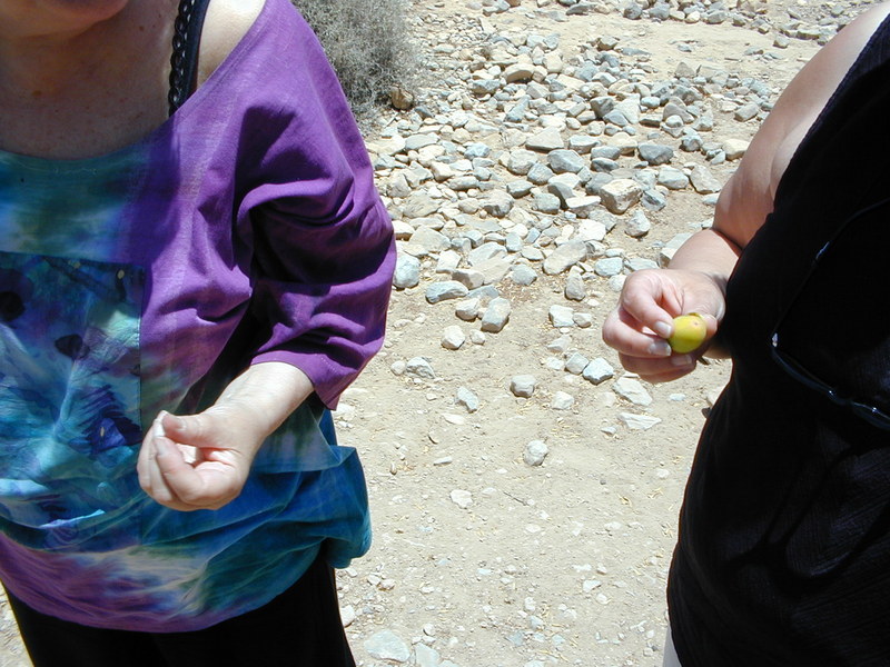 click image to load singular slide #233