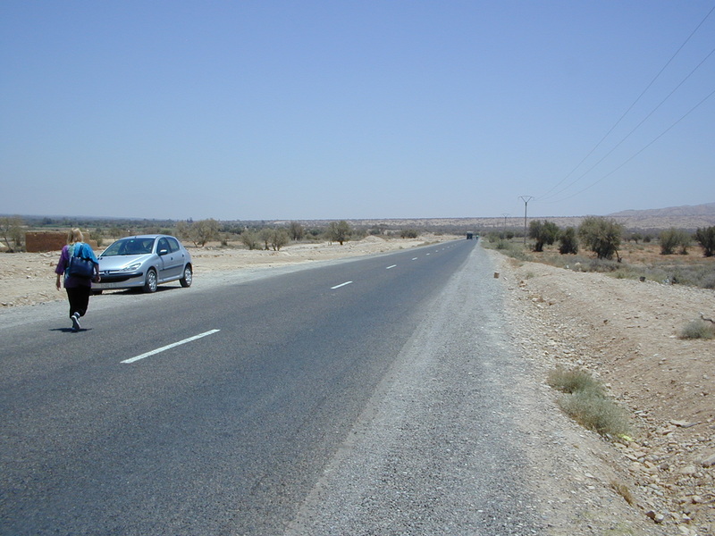 click image to load singular slide #235