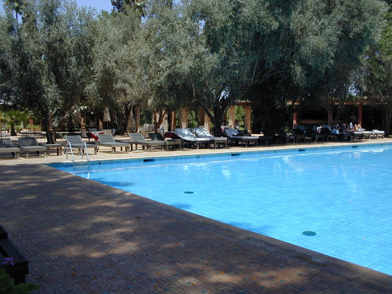 click image to load singular slide #243