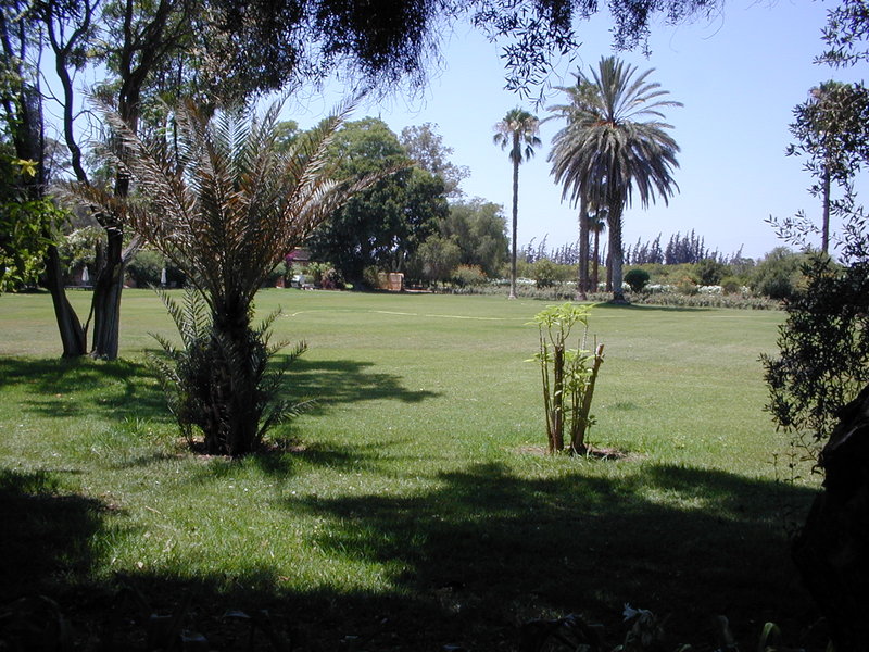 click image to load singular slide #244