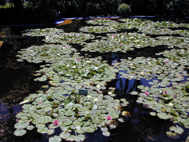 click image to load singular slide #286