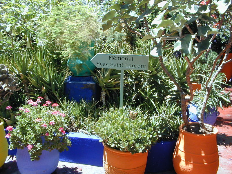 click image to load singular slide #287