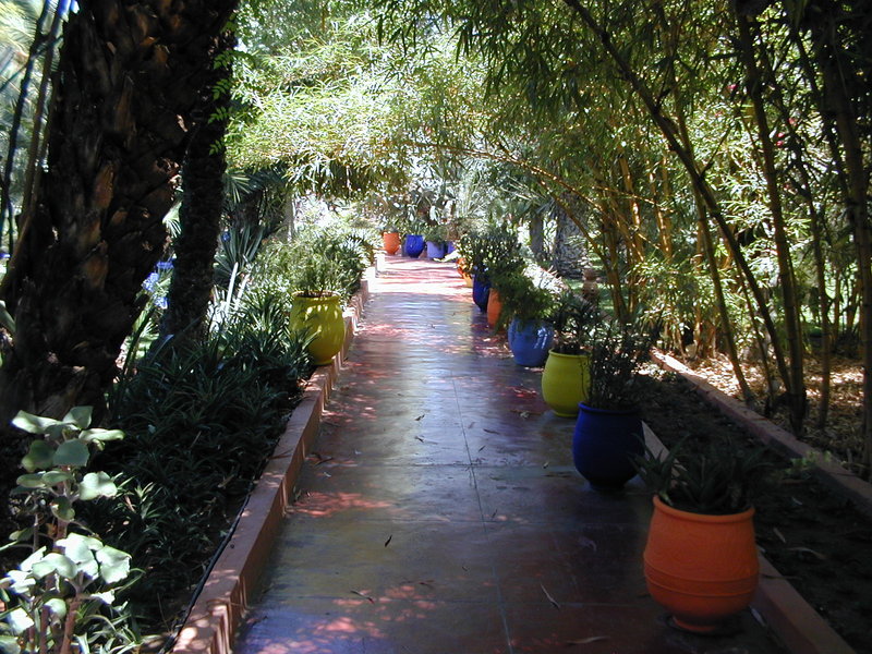 click image to load singular slide #290