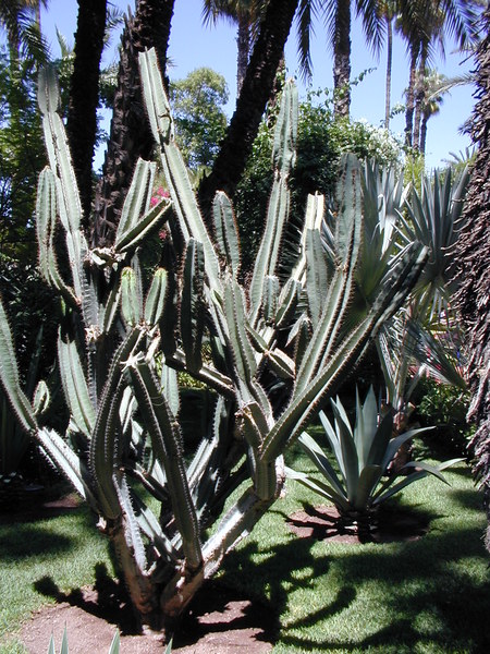 click image to load singular slide #292