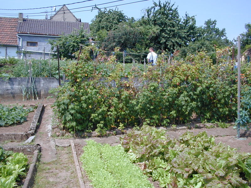 click image to load singular slide #391