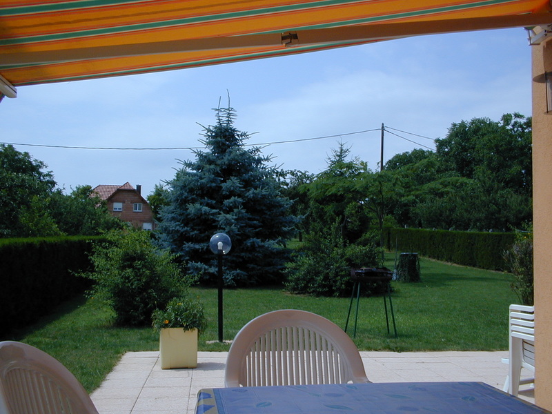 click image to load singular slide #399