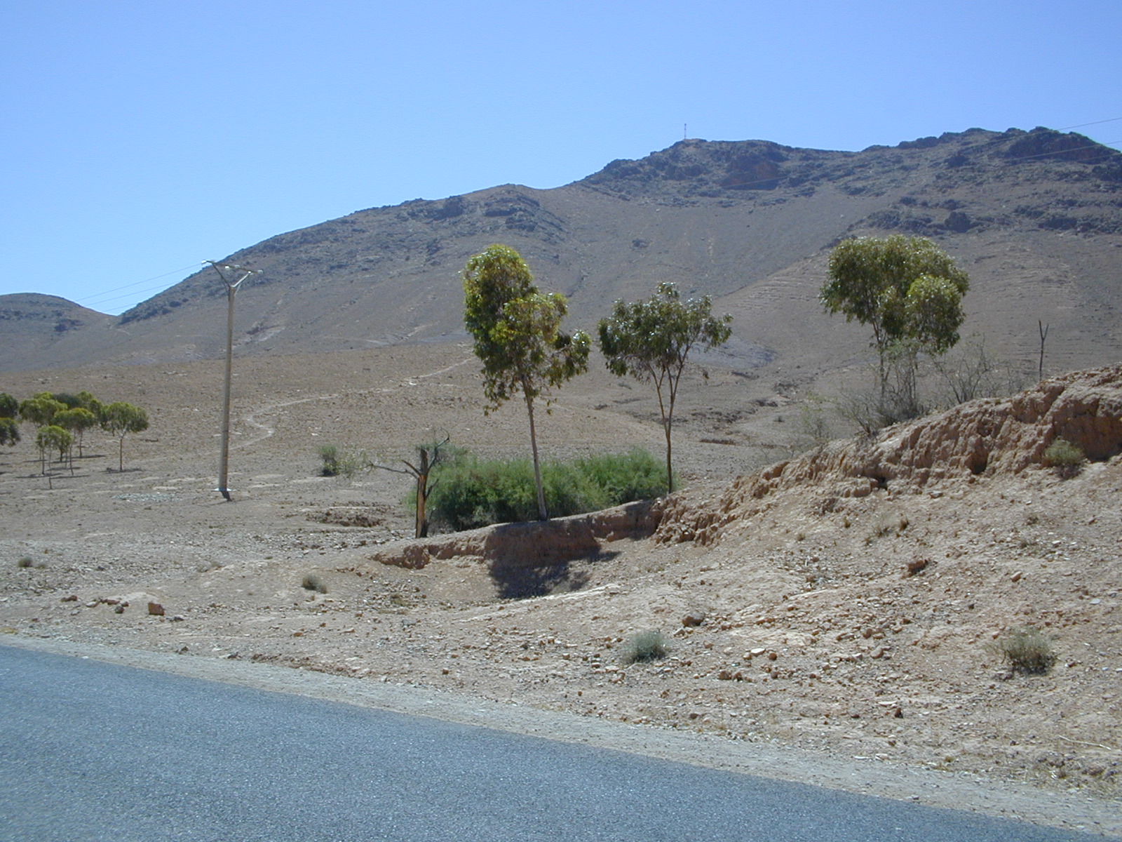 click image to load singular slide #214