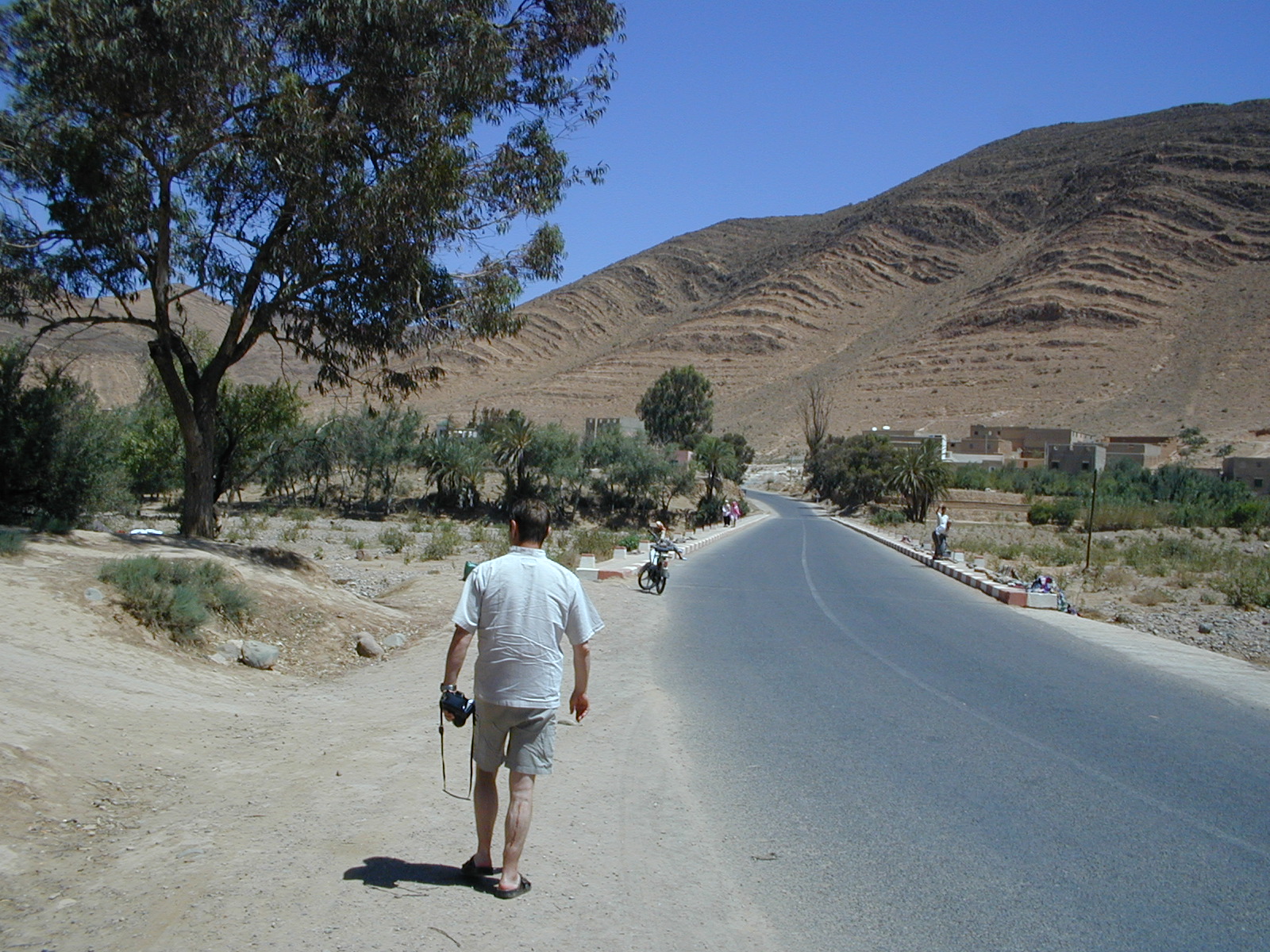 click image to load singular slide #217