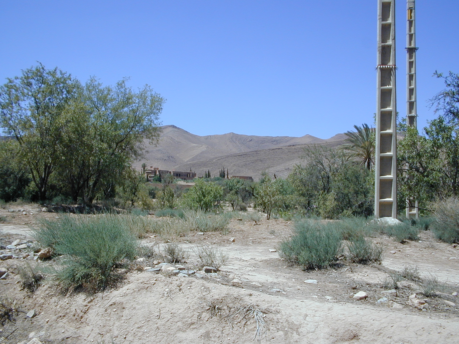 click image to load singular slide #219