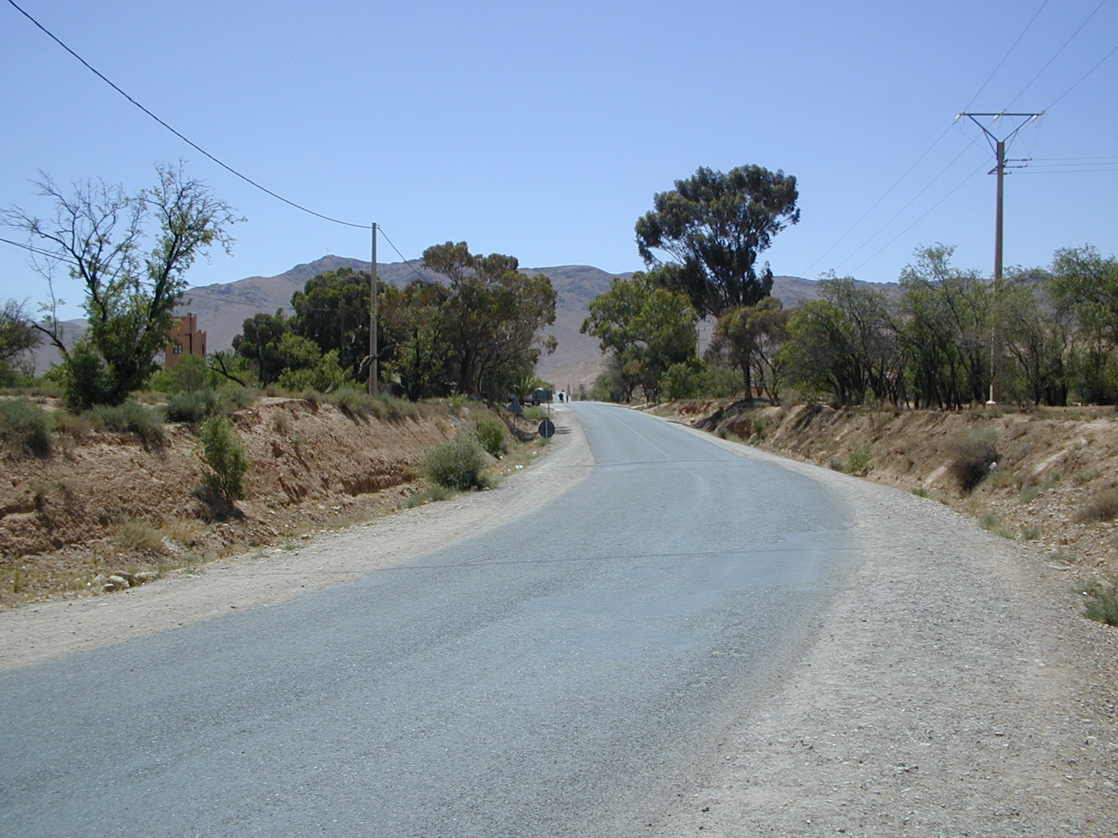 click image to load singular slide #221