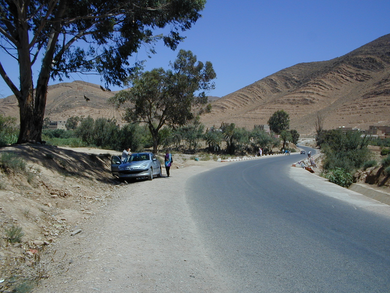 click image to load singular slide #222