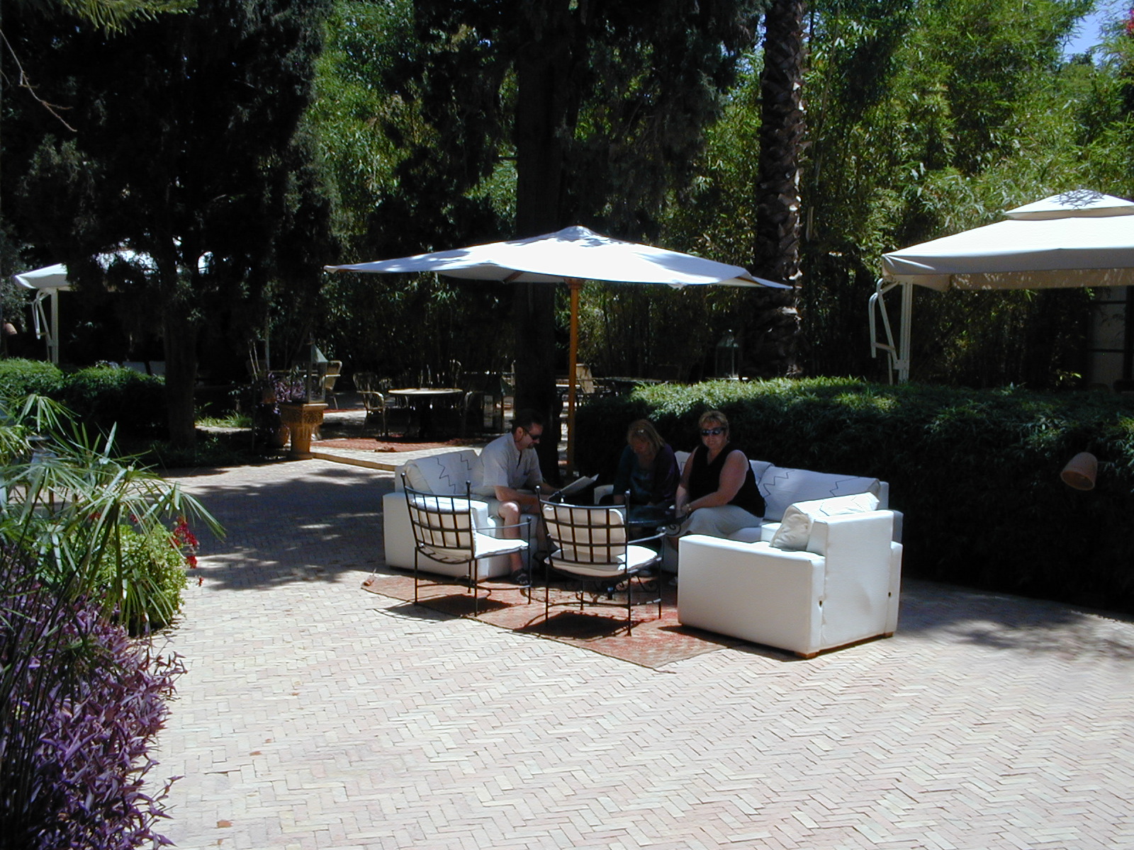 click image to load singular slide #239