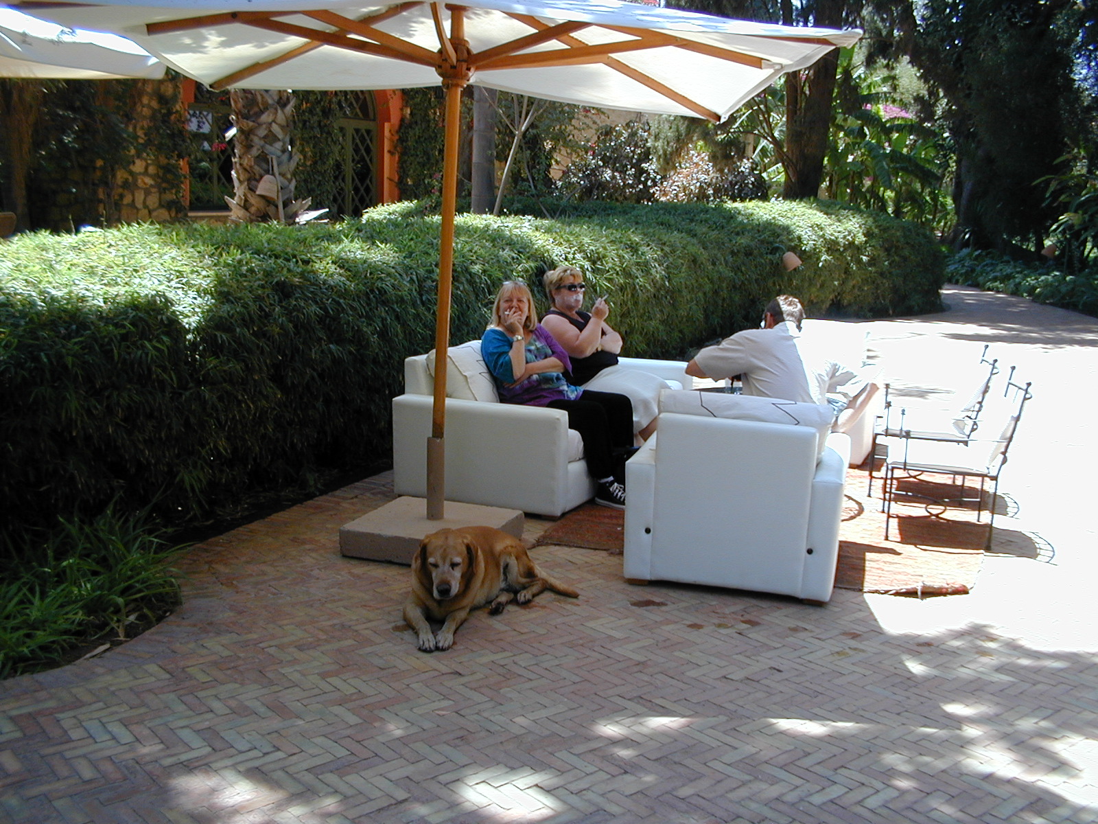 click image to load singular slide #240