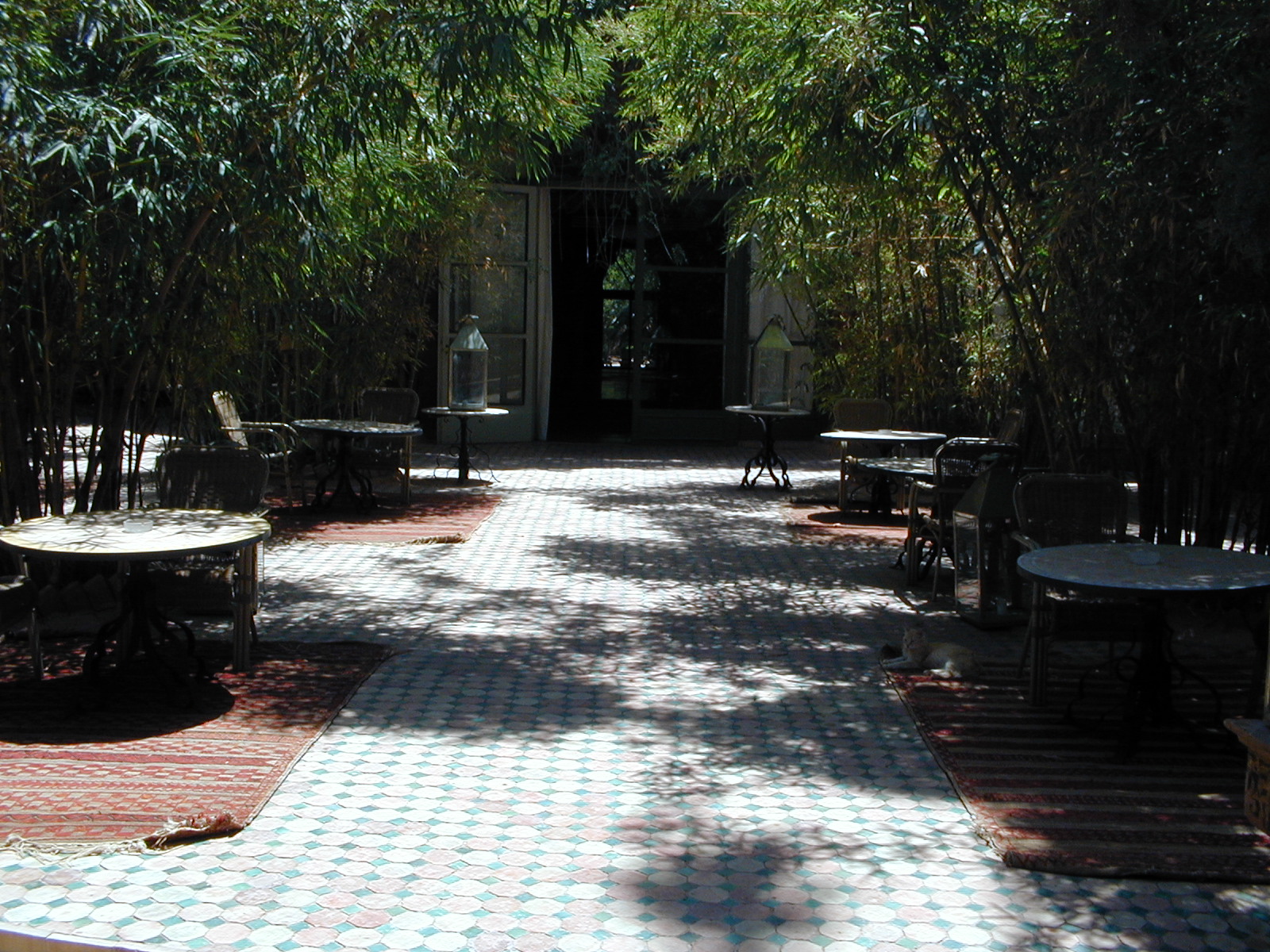 click image to load singular slide #241