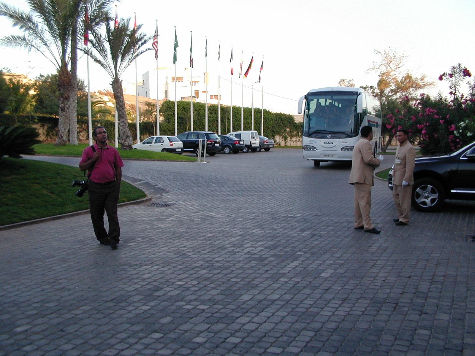 click image to load singular slide #258