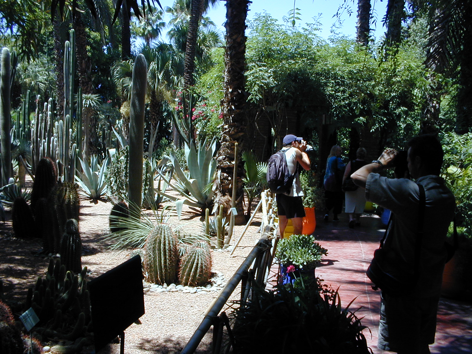 click image to load singular slide #279