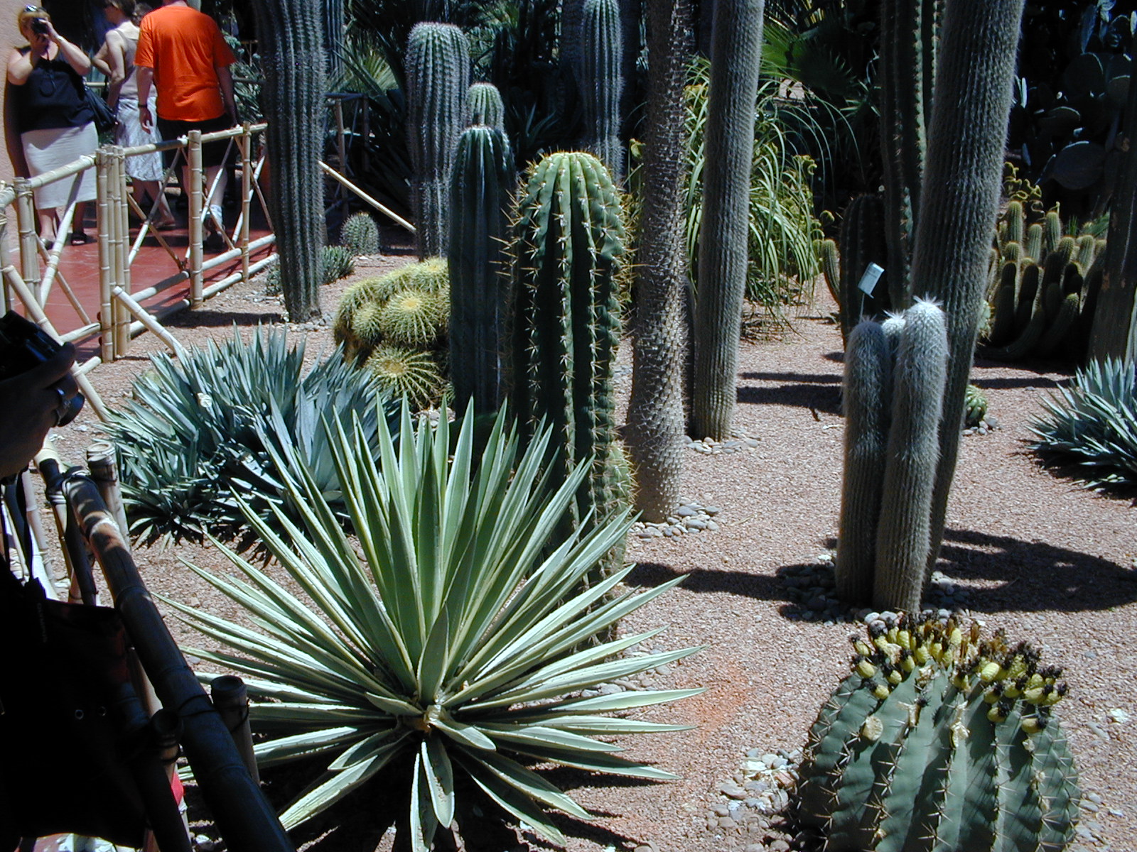 click image to load singular slide #284