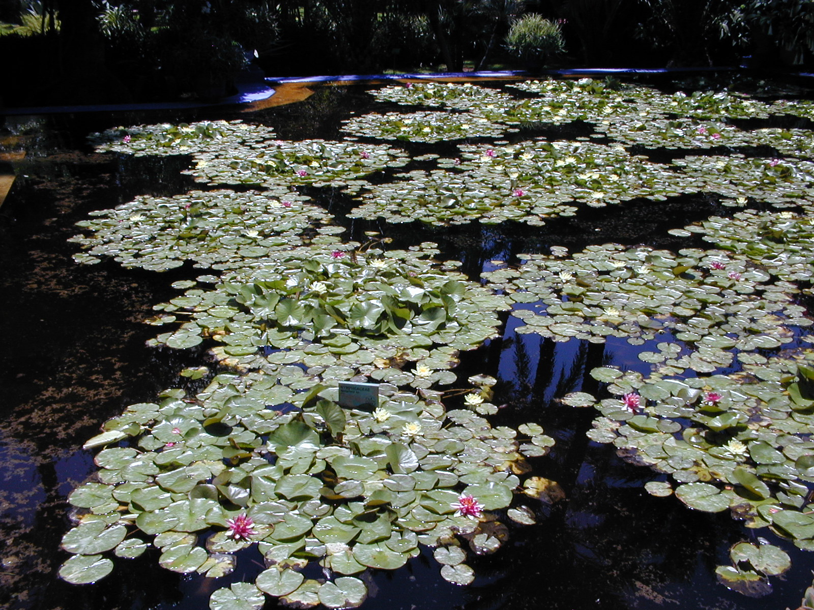 click image to load singular slide #286