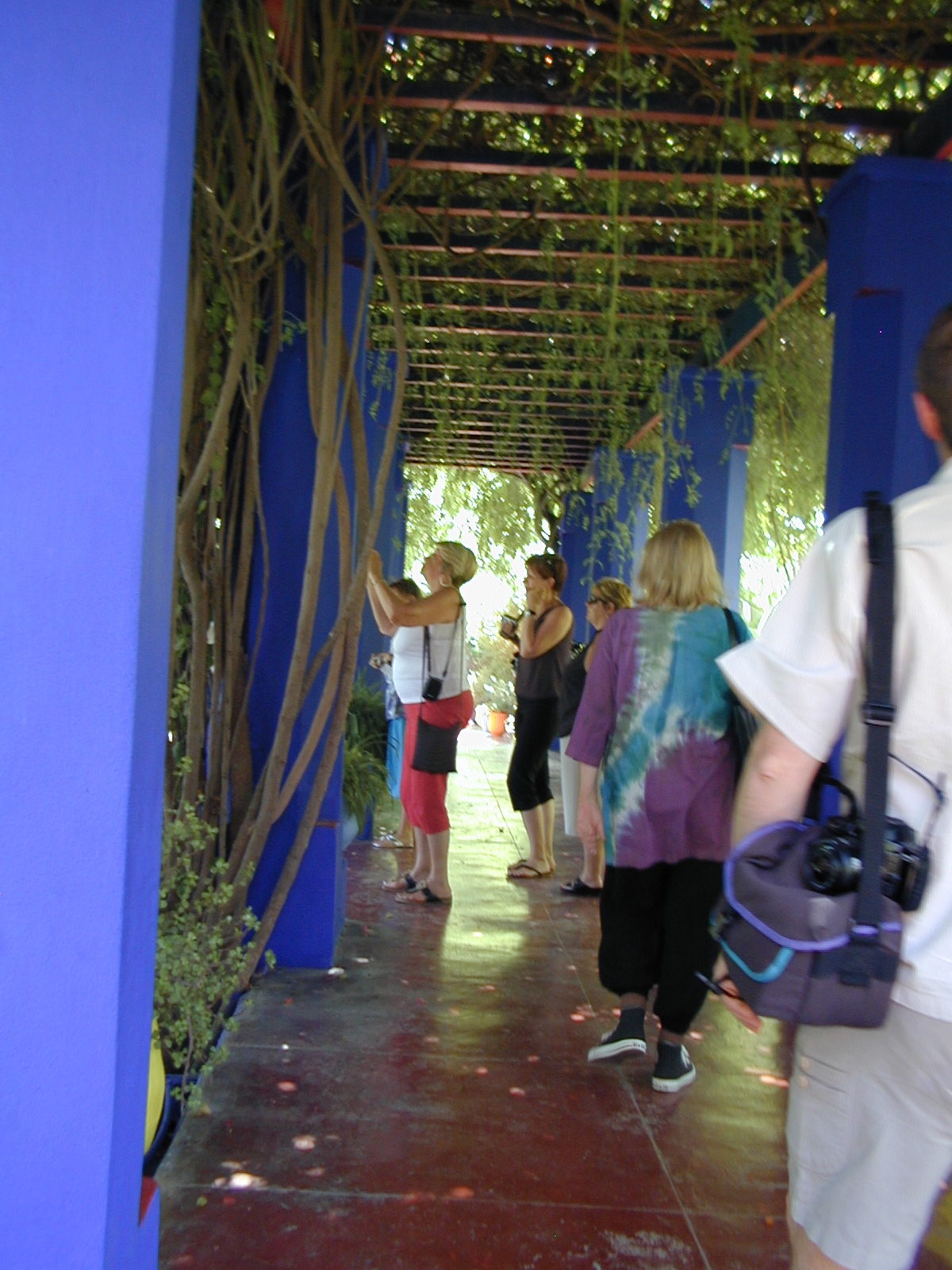 click image to load singular slide #288