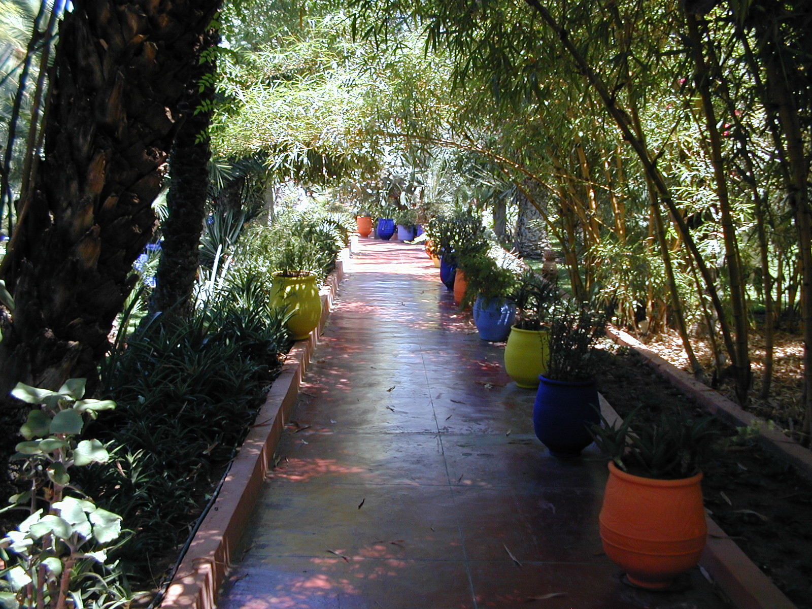 click image to load singular slide #290