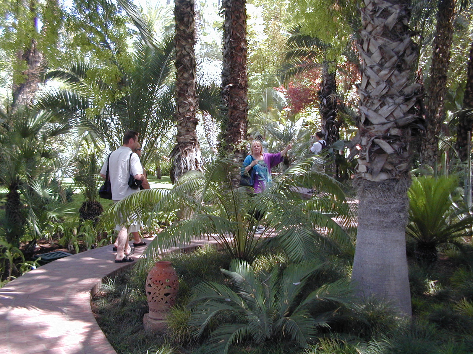 click image to load singular slide #291