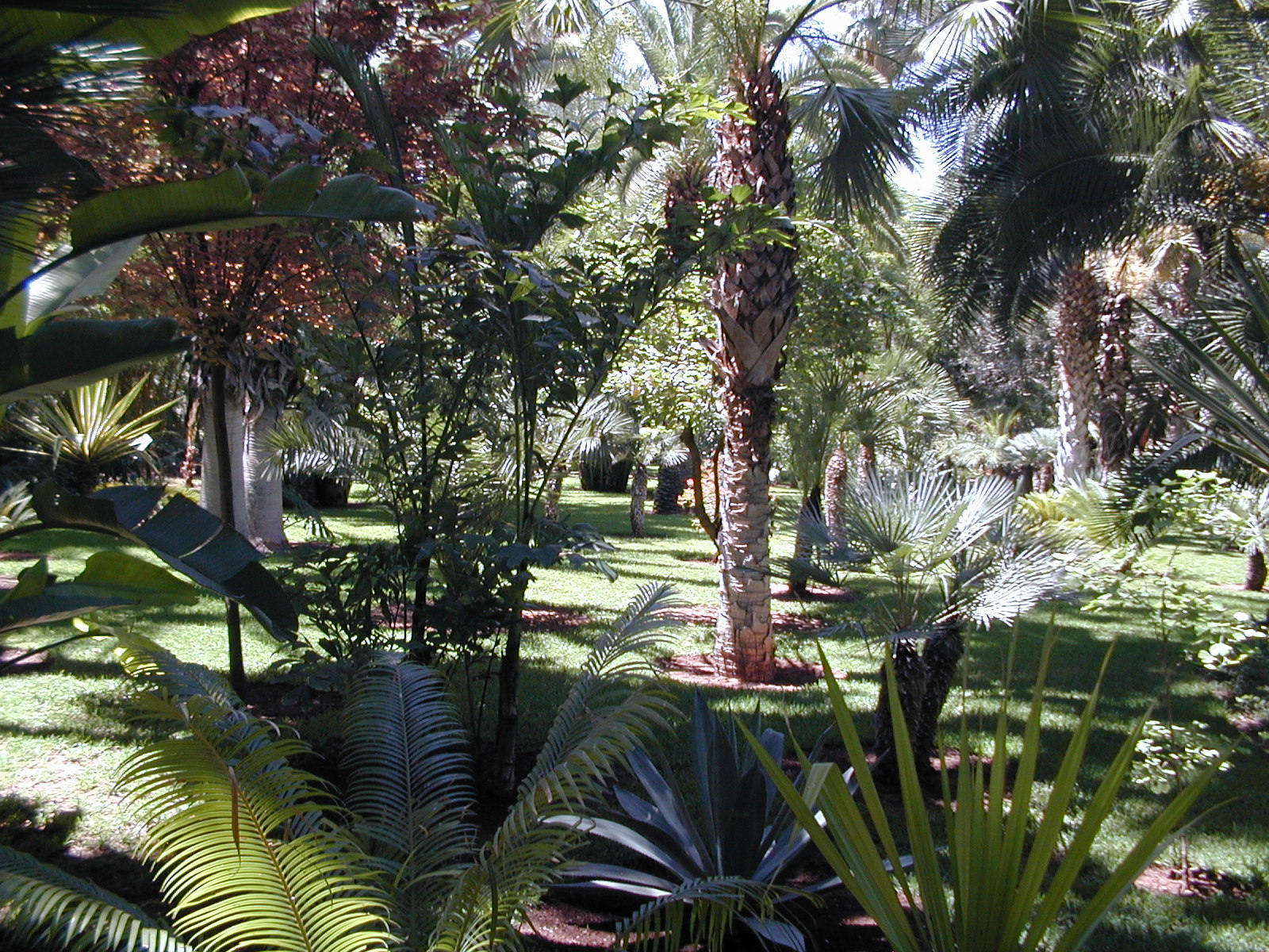 click image to load singular slide #296