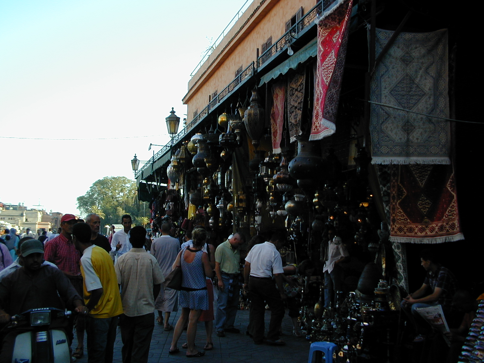 click image to load singular slide #317