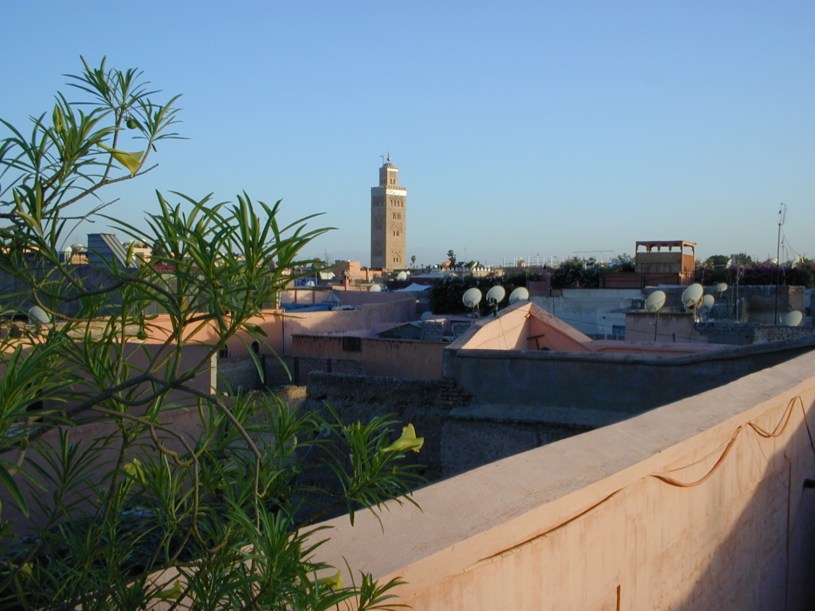 click image to load singular slide #325