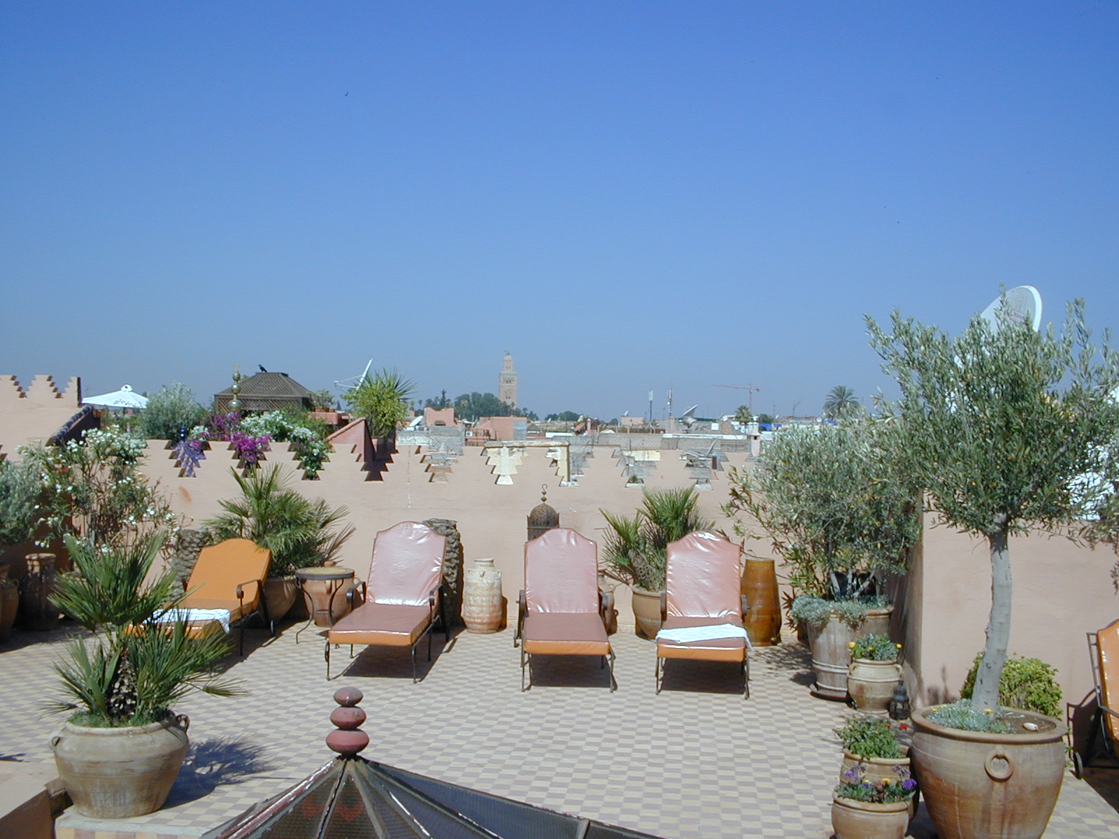 click image to load singular slide #339