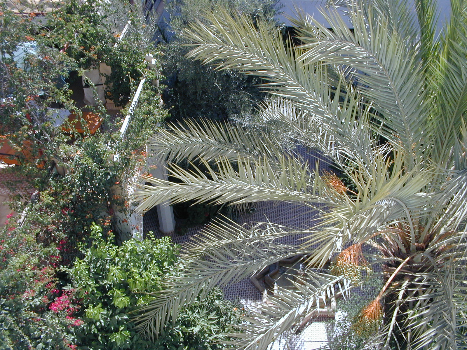 click image to load singular slide #341