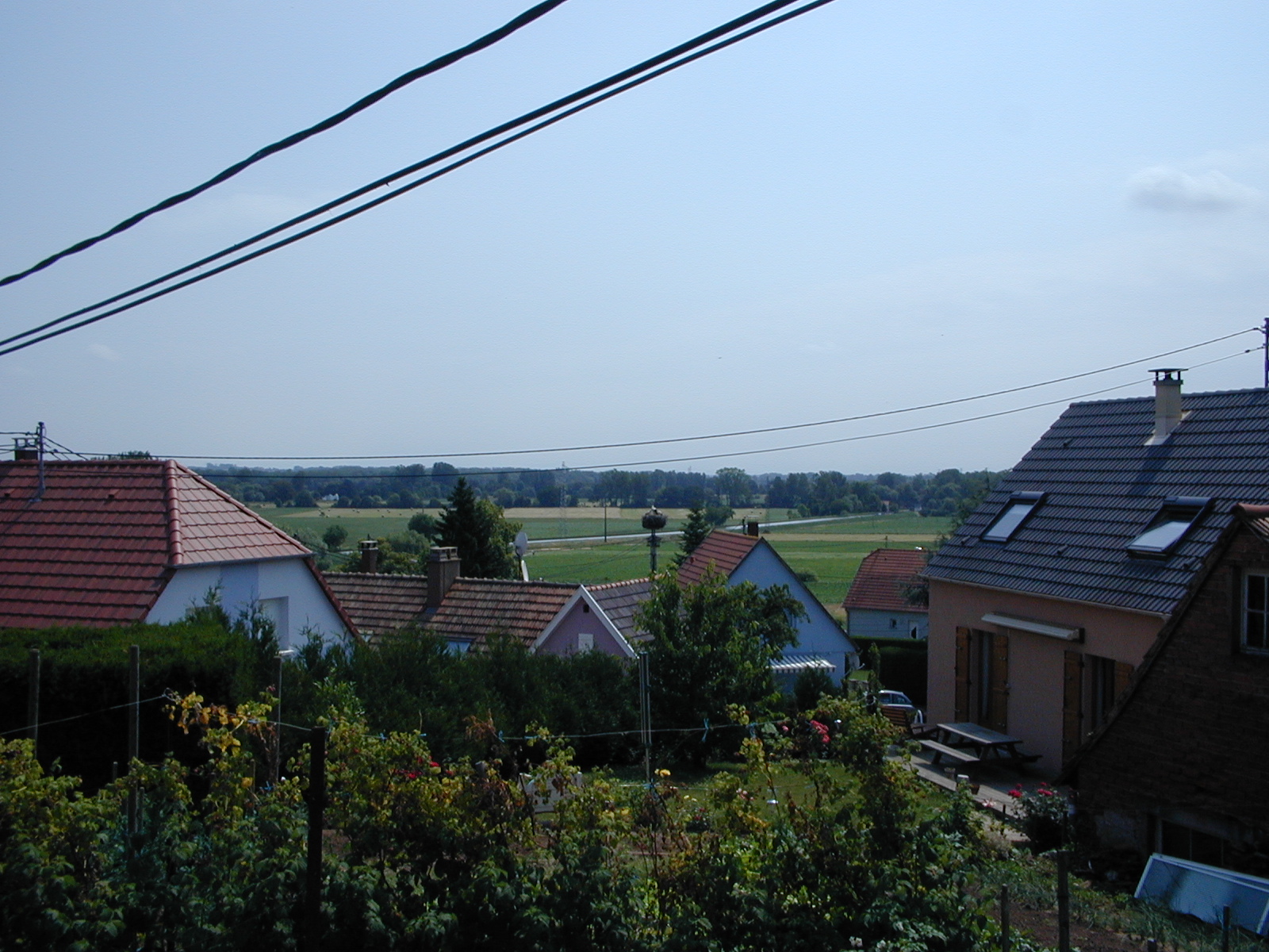 click image to load singular slide #386