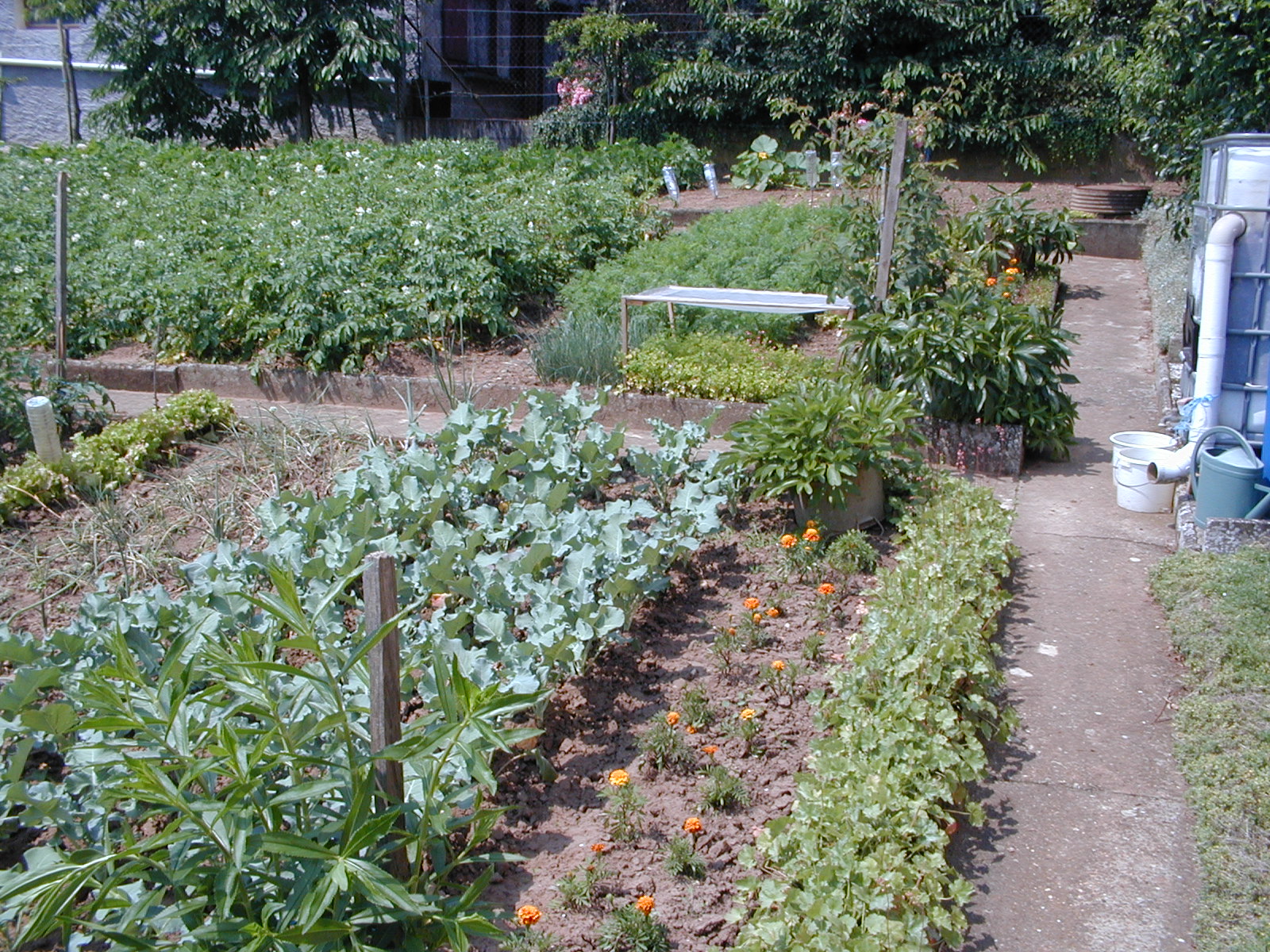 click image to load singular slide #387