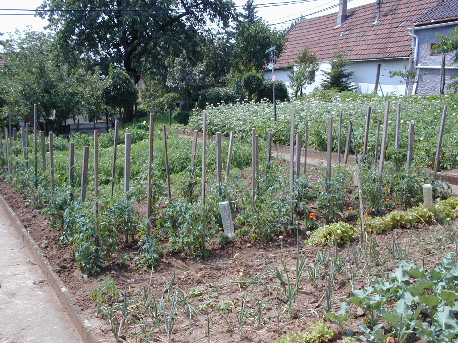 click image to load singular slide #388