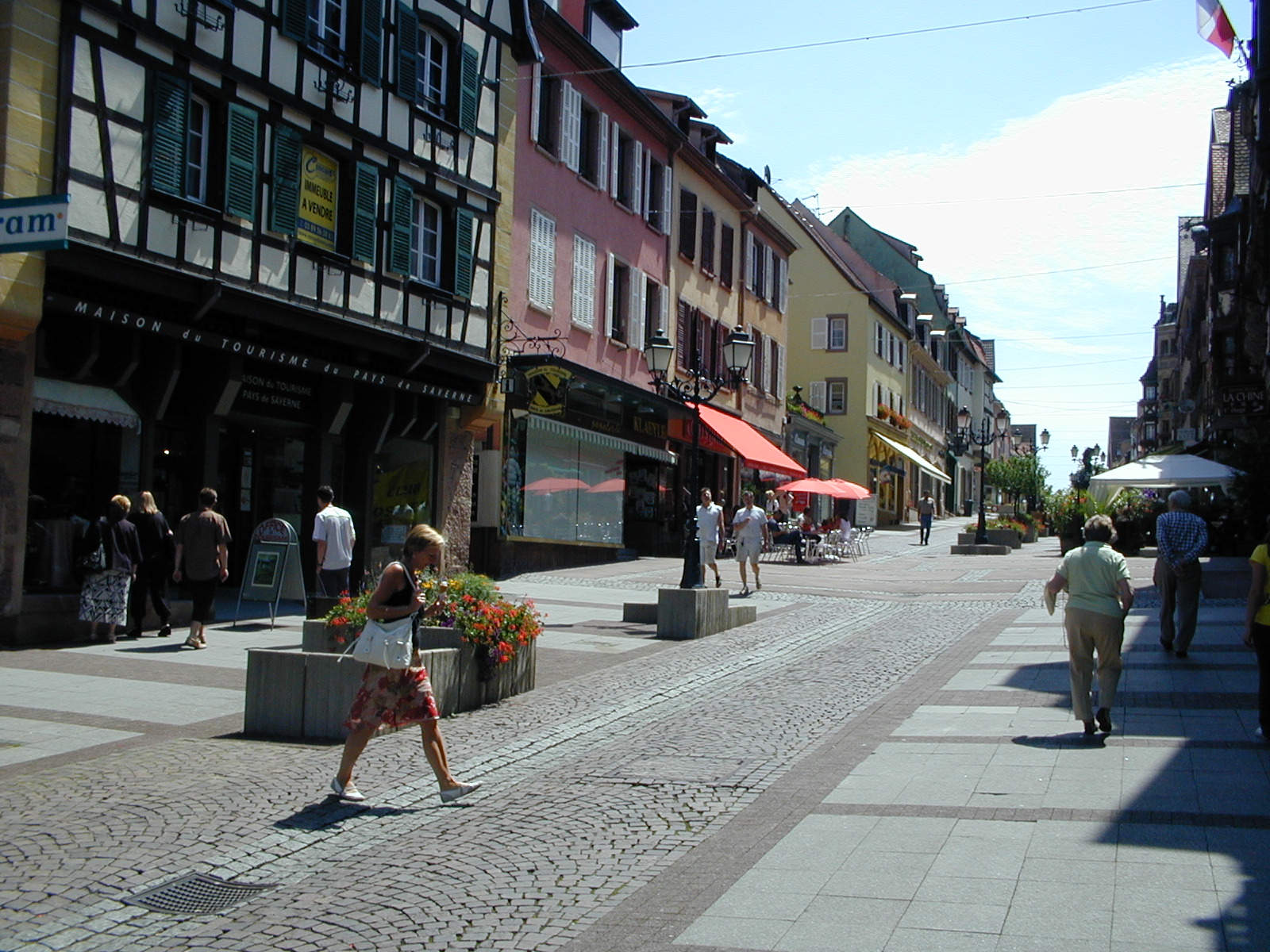 click image to load singular slide #410