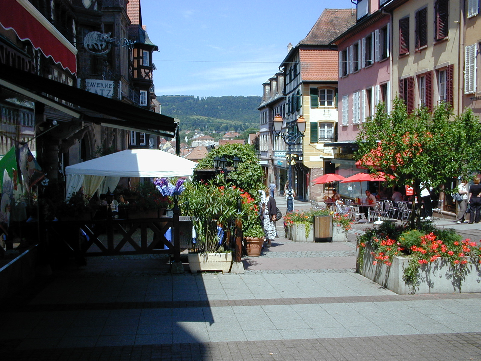 click image to load singular slide #411