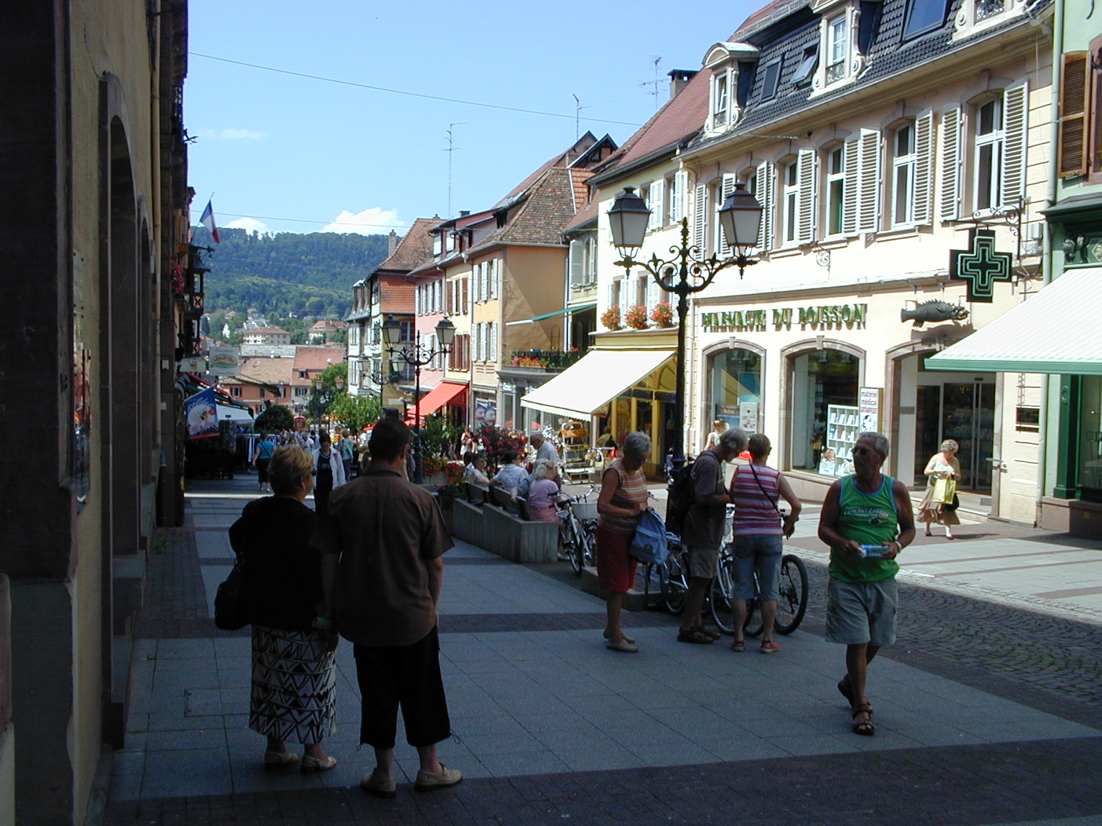 click image to load singular slide #418