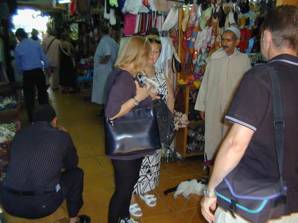 click image to load singular slide #40