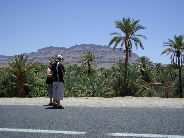 click image to load singular slide #115