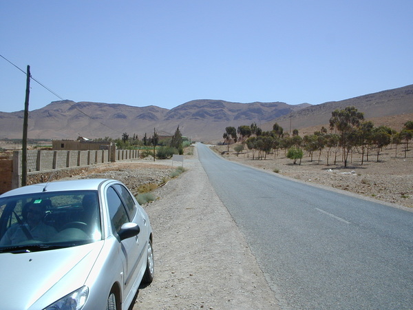 click image to load singular slide #213