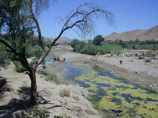 click image to load singular slide #218