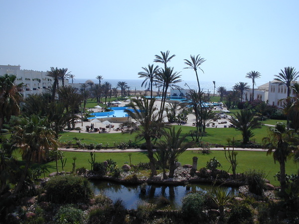 click image to load singular slide #246