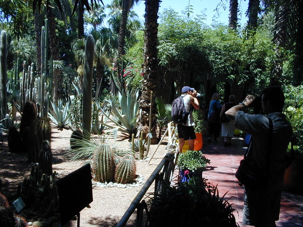 click image to load singular slide #279