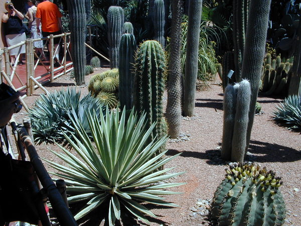 click image to load singular slide #284