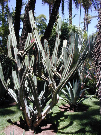 click image to load singular slide #292